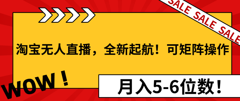 （13946期）淘宝无人直播，全新起航！可矩阵操作，月入5-6位数！-副业库
