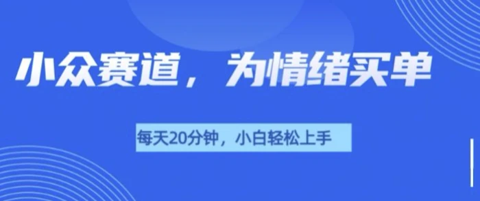 小众赛道，我的治愈系电子抱枕，让用户为情绪买单-副业库