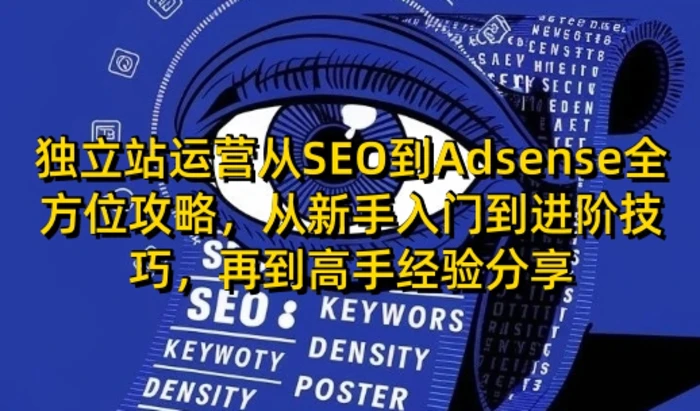 独立站运营从SEO到Adsense全方位攻略，从新手入门到进阶技巧，再到高手经验分享-副业库