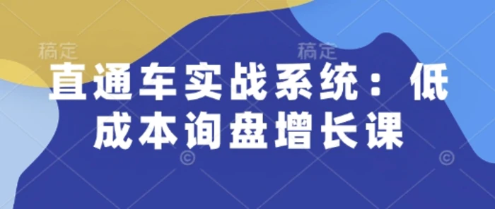 直通车实战系统：低成本询盘增长课，让个人通过技能实现升职加薪，让企业低成本获客，订单源源不断-副业库