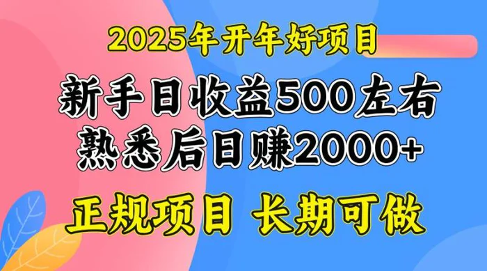 （14076期）2025开年好项目，单号日收益2000左右-副业库