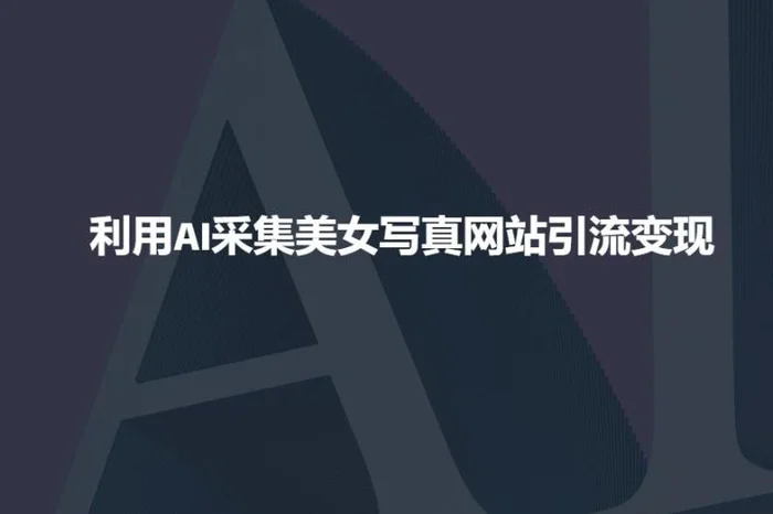 利用AI采集美女写真网站引流变现，引流嘎嘎的-副业库