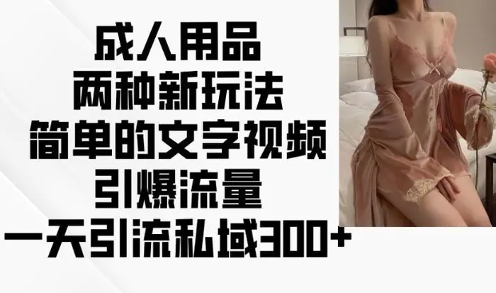 成人用品两种新玩法，简单的文字视频引爆流量，一天引流私域300+-副业库