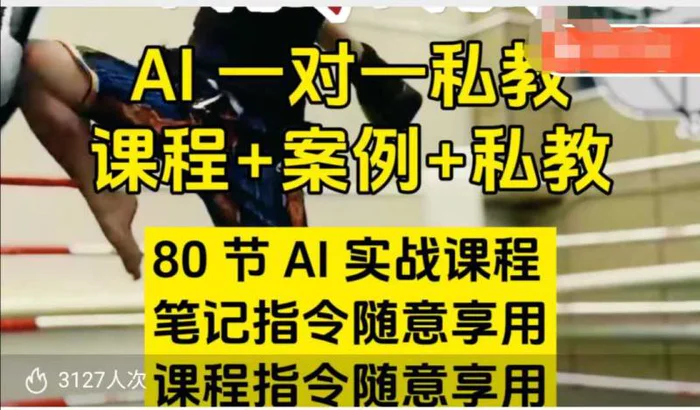 AI指令实战课，课程+案例，80节AI实战课程，笔记指令随意享用，课程指令随意享用-副业库