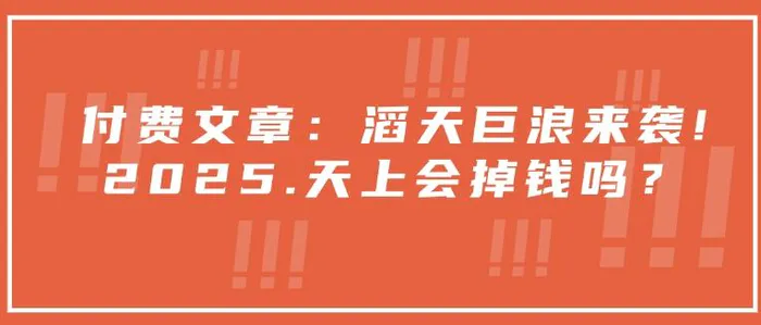 付费文章：滔天巨浪来袭！2025天上会掉钱吗？-副业库