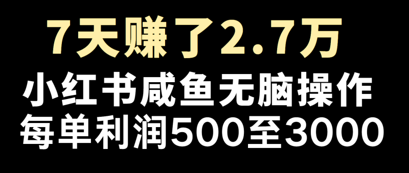 全网首发，7天赚了2.6万，2025利润超级高！-副业库
