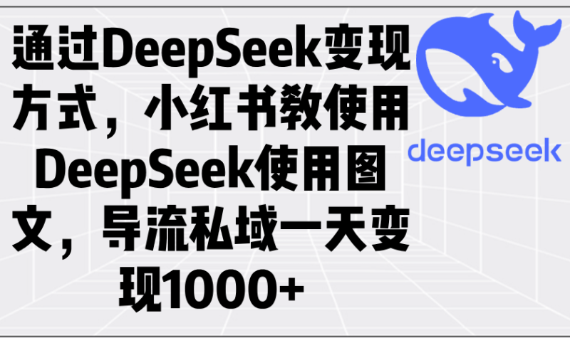 （14179期）通过DeepSeek变现方式，小红书教使用DeepSeek图文，导流私域一天变现1000+-副业库