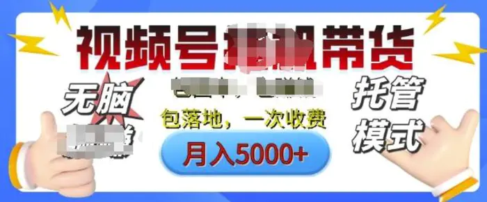 视频号挂J橱窗带货，纯托管模式，日入多张，无需剪辑，无需选品，有账号即可托管【揭秘】-副业库