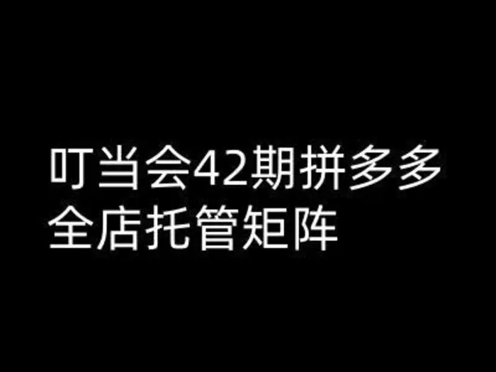 叮当会拼多多打爆班原创高阶技术第42期，拼多多全店托管矩阵-副业库