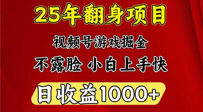 一天收益1000+ 25年开年落地好项目-副业库