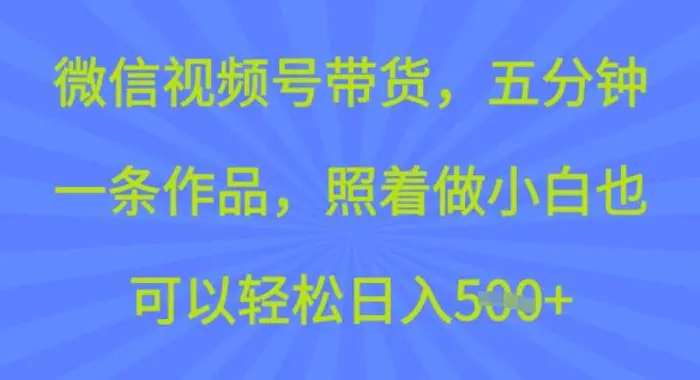 微信视频号带货，五分钟一条作品，照着做小白也可以轻松日入5张-副业库
