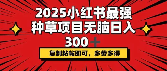 （14375期）2025小红书最强种草项目，无脑日入300+，复制粘帖即可，多劳多得-副业库