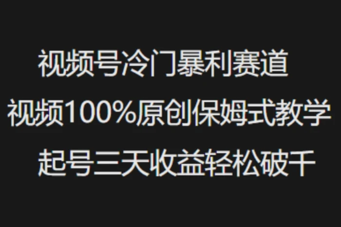 视频号冷门暴利赛道视频100%原创保姆式教学起号三天收益轻松破千-副业库