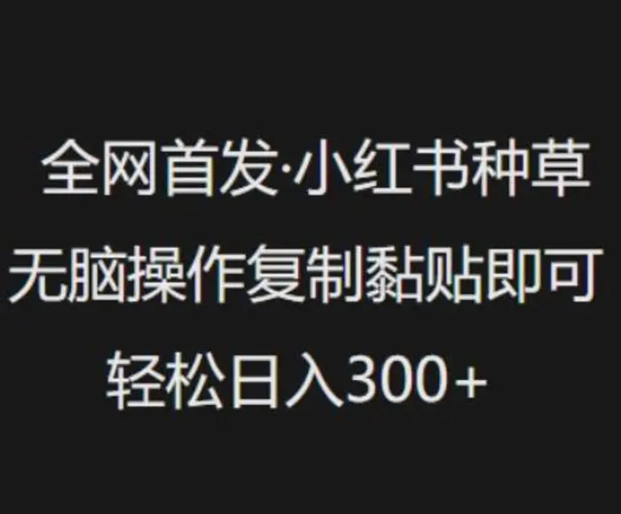 全网首发，小红书种草无脑操作，复制黏贴即可，轻松日入3张-副业库