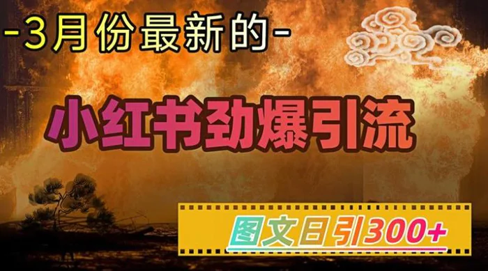 小红书超劲爆引流手段，图文日引300+轻松变现1W-副业库
