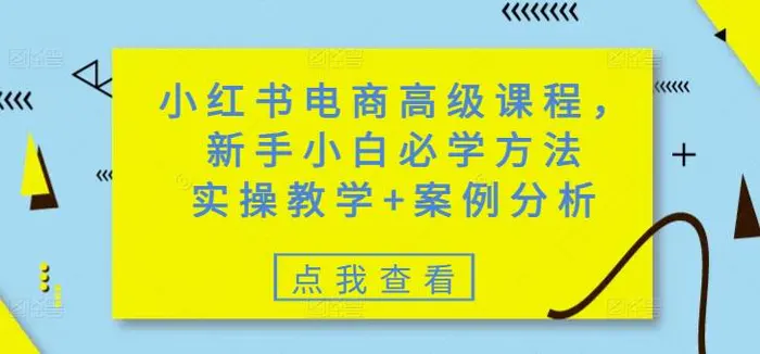 小红书电商高级课程，新手小白必学方法，实操教学+案例分析-副业库