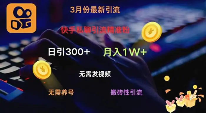 快手私聊引流精准粉，当天见效无需发视频搬砖引流法日引300+-副业库
