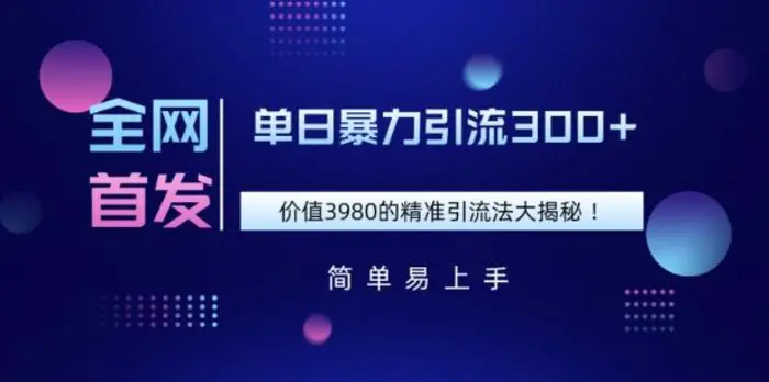 全网首发，价值3980单日暴力引流300+的精准引流法大揭秘-副业库