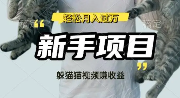 利用老外躲猫猫大赛视频，挣分成收益，操作简单，新手小白，轻松月入过W-副业库