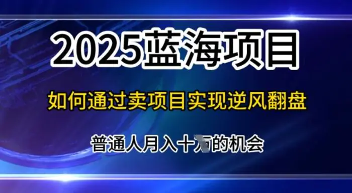 2025蓝海项目，普通人如何通过卖项目实现逆风翻盘，月入10个【揭秘】-副业库