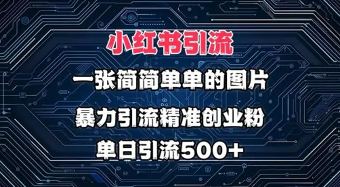 小红书图片打法，利用一张简简单单的图片，暴力引流精准创业粉，单日引流500+-副业库