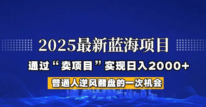 2025年蓝海项目，如何通过“网创项目”日入2000+-副业库