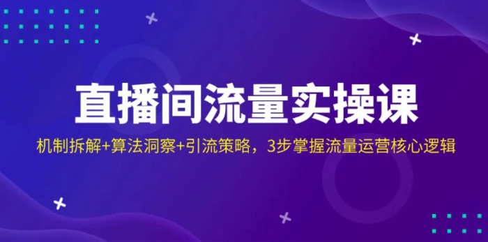 （14122期）直播间流量实操课：机制拆解+算法洞察+引流策略，3步掌握流量运营核心逻辑-副业库