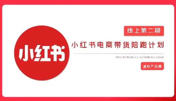 2025小红书虚拟电商实战课，从0到1打造无货源店铺，AI+爆款笔记轻松变现-副业库