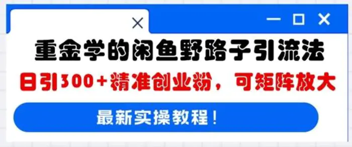重金学的闲鱼野路子引流法，日引300+精准创业粉，可矩阵放大-副业库