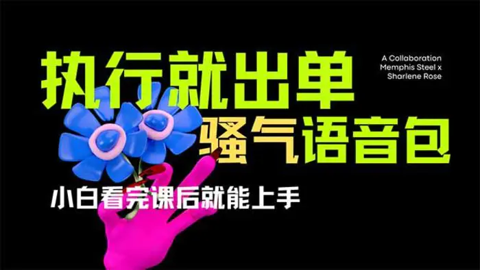 （14170期）爆火全网的开车导航骚气语音包,只要执行就出单，小白看完课程就能实操…-副业库