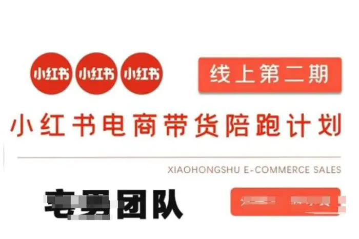 小红书电商带货课2期，月利润20个的小红书电商的有货源，无货源，虚拟产品，付费投流等整套玩法-副业库
