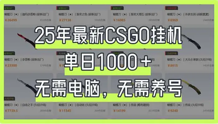 （14178期）25年最新CSGO挂机系统，单日1000+，无需电脑，无需养号，0基础可上手-副业库