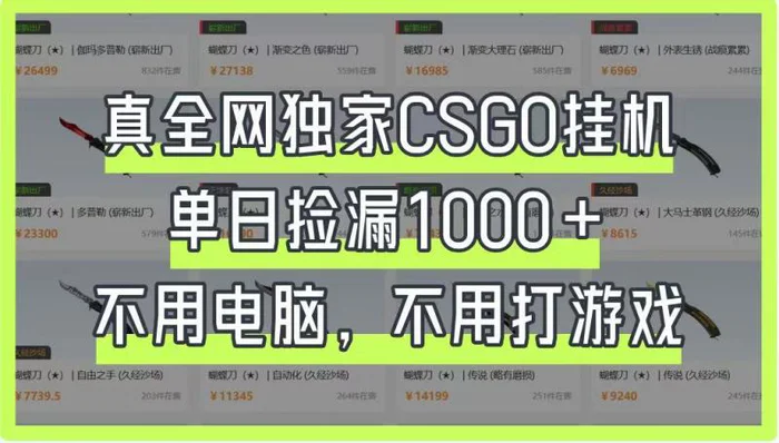 真全网独家CSGO挂机，单日捡漏1000+，不用电脑，不用养号-副业库