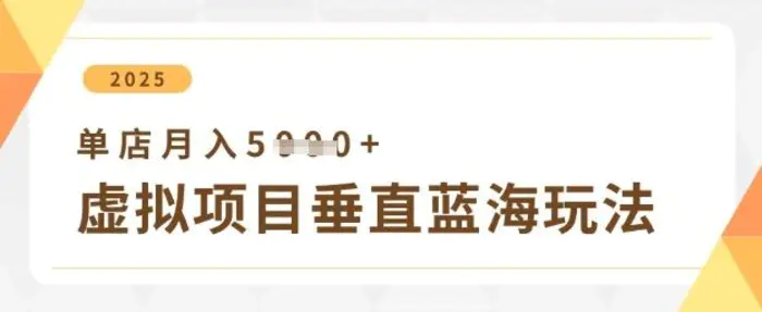 虚拟项目垂直玩法，实现单店月入5k+-副业库