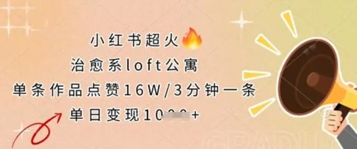 小红书超火的治愈系loft公寓，单条作品点赞16W，3分钟一条，单日变现数张-副业库