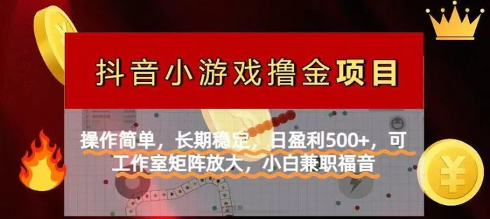 （14290期）【抖音小游戏发行人计划项目】操作简单，长期稳定，日盈利500+，可工作…-副业库