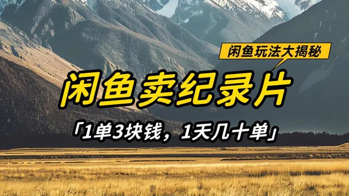 闲鱼卖纪录片，简单又赚钱的小项目，1单3块钱  1天几十单-副业库