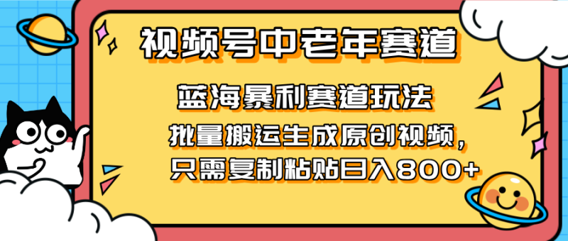 （14314期）2025视频号中老年短视频蓝海暴利风口！复制粘贴搬运视频单日赚800+，无…-副业库