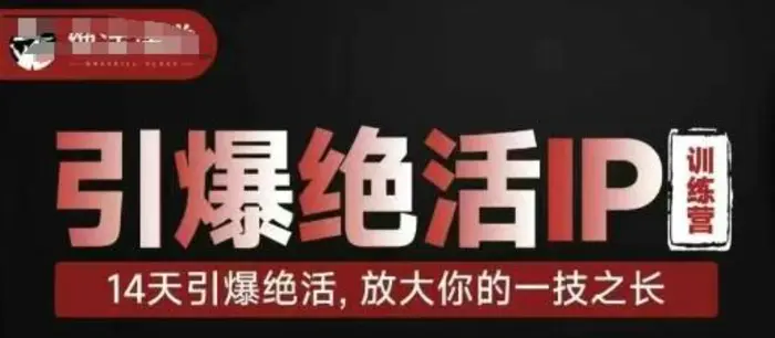 引爆绝活IP训练营，14天引爆绝活，放大你的一技之长-副业库