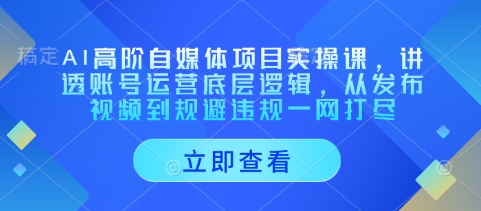 AI高阶自媒体项目实操课，讲透账号运营底层逻辑，从发布视频到规避违规一网打尽-副业库