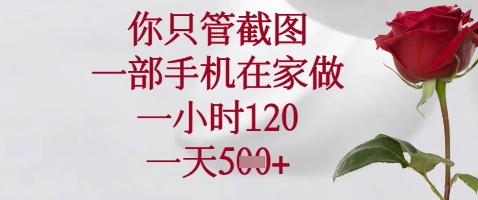 你只管截图，一部手机在家做，苹果安卓都可以，一小时120，一天5张+-副业库