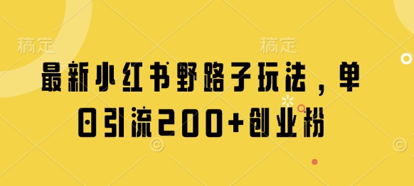 最新小红书野路子玩法，单日引流200+创业粉-副业库