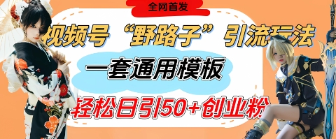 视频号“野路子”玩法，评论区疯狂截流，一套模板单日单号引流50+创业粉-副业库