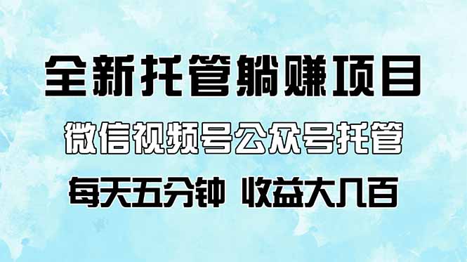 （14425期）全新托管躺赚项目，微信视频号公众号托管代运营，每天五分钟，收益大几百-副业库