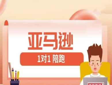 亚马逊1对1陪跑课(FBA/FBM精铺)跨境亚马逊教程-副业库