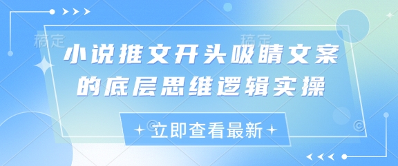 小说推文开头吸睛文案的底层思维逻辑实操-副业库