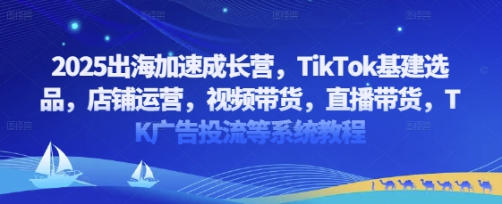 2025出海加速成长营，TikTok基建选品，店铺运营，视频带货，直播带货，TK广告投流等系统教程-副业库