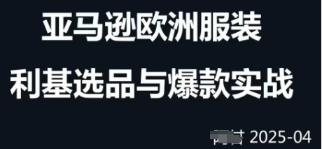 跨境电商选品案例24-25年，聚焦跨境电商选品策略与运营优化，助力卖家挖掘蓝海市场-副业库
