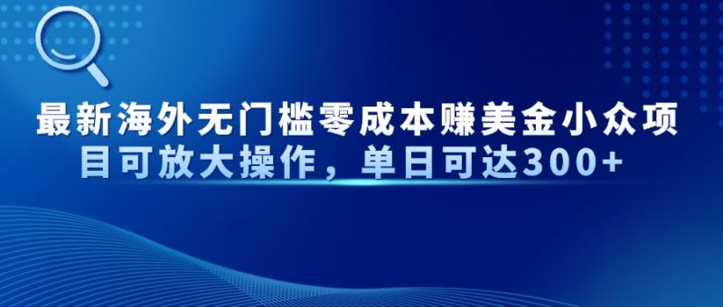 （14542期）最新海外无门槛零成本赚美金小众项目可放大操作，单日可达300+-副业库