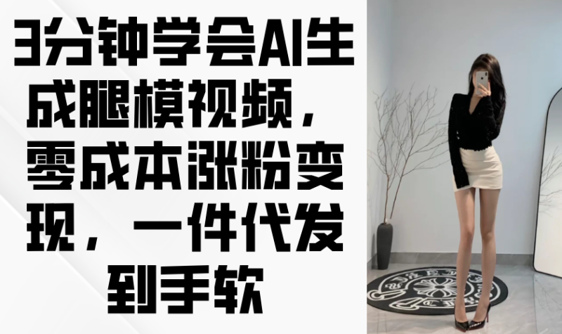 （14537期）3分钟学会AI生成腿模视频，零成本涨粉变现，一件代发到手软-副业库